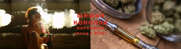 кокс Дмитриев